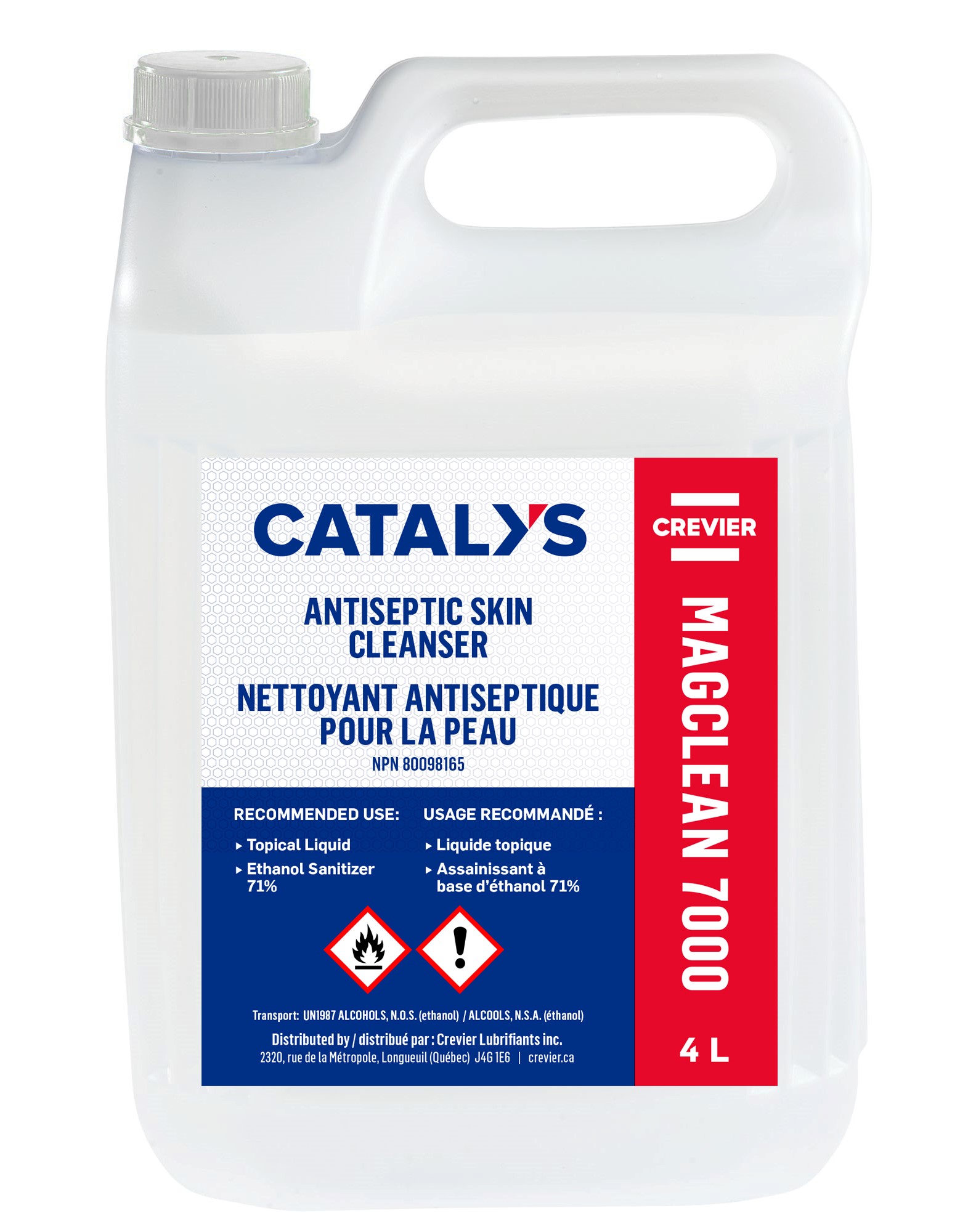 Nettoyant à sec pour tapis et tissus pour l'auto 439 g - Canac